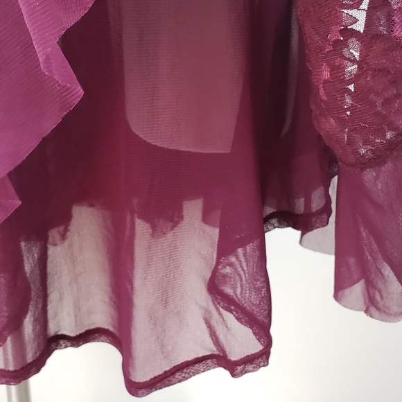 Free People Maroon Sheer Dress - Picture 5 of 6